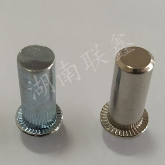 鉚螺母廠(chǎng)家